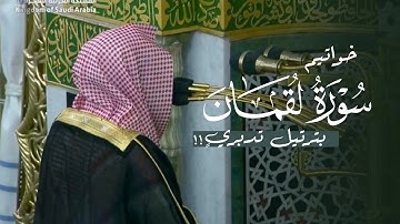 تلاوة تدبرية يُكمل بها الشيخ د. عبدالله القرافي سورة لقمان | فجر الثلاثاء 29-4-1447هـ