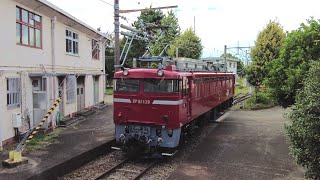 EF65 1115,EF81 139　[2024.10.8]