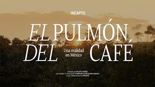 EL PULMÓN DEL CAFÉ | Una realidad en México | DOCUMENTAL