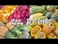 【南国ですね～!!台湾は果物天国!!】果物屋をちょっと覗いてみるよ。どんな果物があるのかな!!??｜沖縄人の台湾生活-Ver.112-