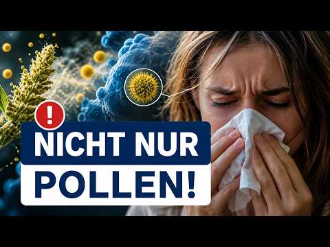 Hay Fever: Why Your Immune System Overreacts – And What’s Behind It