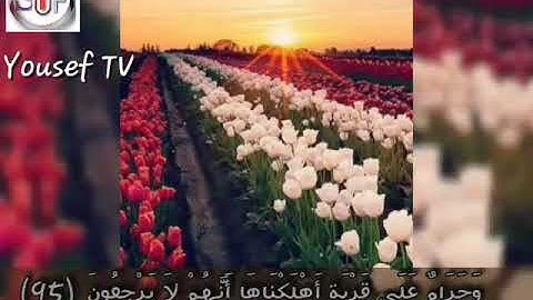 تلاوة رائعة ما تيسر من سورة الانبياء الشيخ سلمان العتيبى