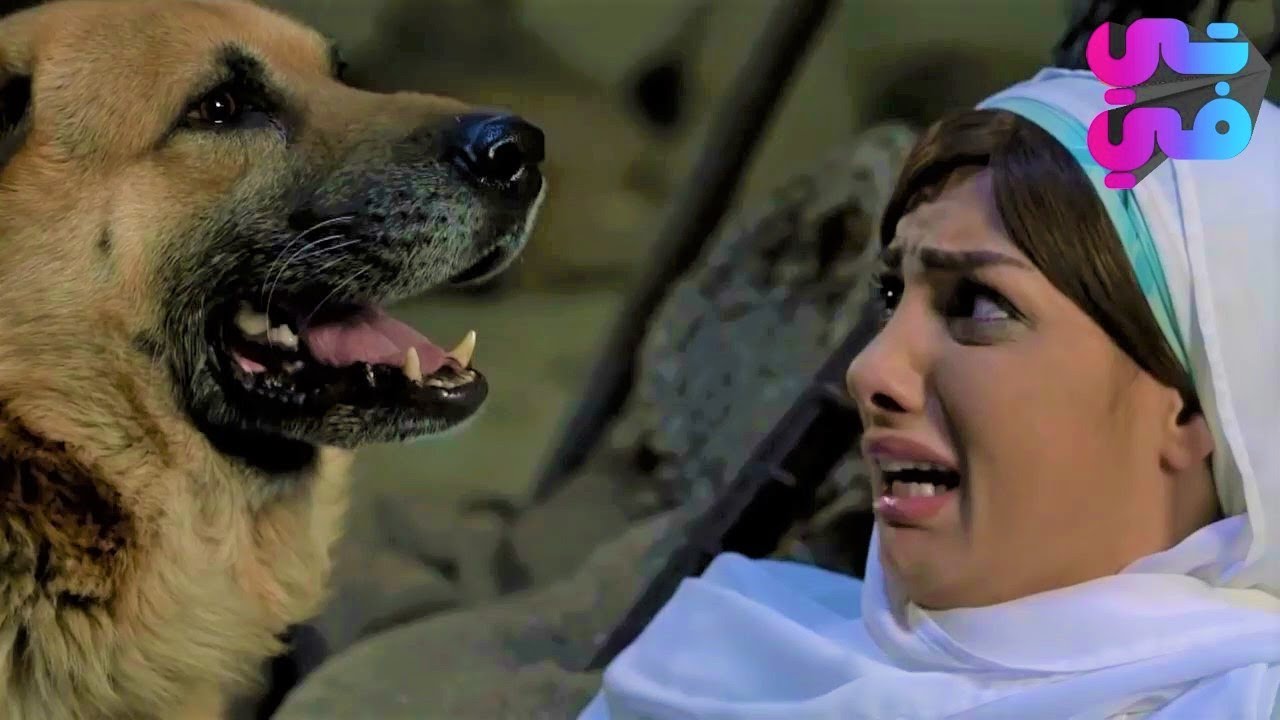 طمعان بجمال الصبية ولأن هربت منو هيه وأبوها فلت عليها كلابو