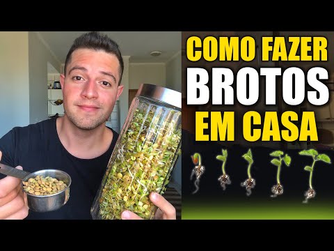 Vídeo: Como Germinar Grãos Para O Plantio