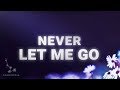 TEFFLER - Never Let Me Go (Lyrics)