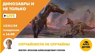 Занятие "Случайности не случайны" кружка "Динозавры и не только" с Ярославом Поповым