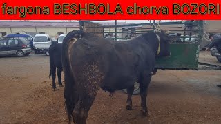 fargona BESHBOLA chorva bozori korib mazza qiling YOQSA LAYK bosib qoying