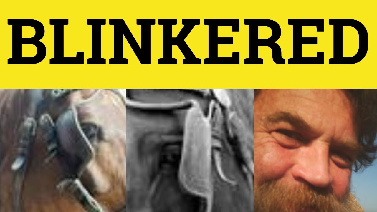 🔵 Blinkered - Blinkered Meaning - Blinkered Examples - Vocabulary