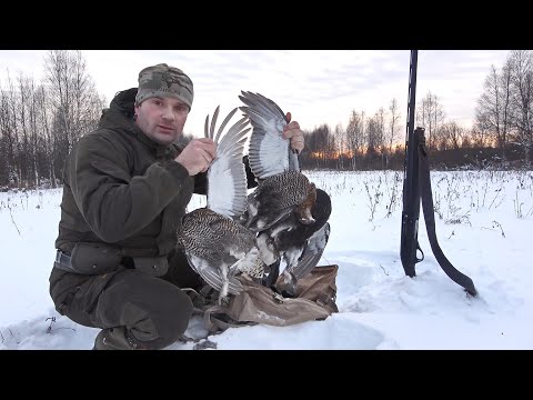 ОХОТА НА ТЕТЕРЕВА С ЛУНОК. НАСТУПИЛ НА ОГРОМНУЮ СТАЮ ПТИЦ,  ПАТРОНЫ ЗАКОНЧИЛИСЬ.Franchi Affinity One