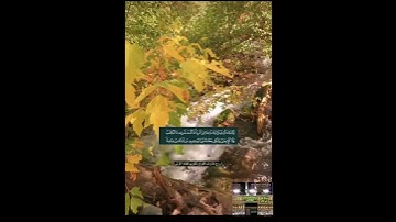 ماتيسر من سورة الشورى - نغم الدشت القارئ ضياء مرعي #تلاوةعراقية #قران_كريم  #قرآن #تجويدعراقي