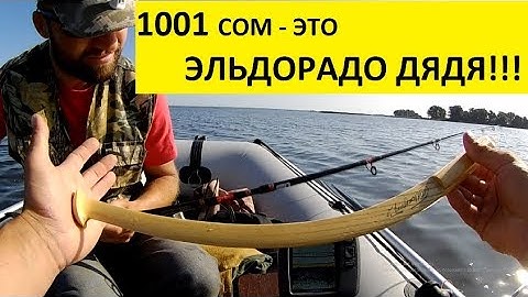 1001 СОМ на этой ЯМЕ или как МЫ попали на СОМОВЬЕ ЭЛЬДОРАДО. ЛОВЛЯ СОМА НА КВОК 2019