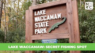 Lake Waccamaw: Secret Fishing Spot