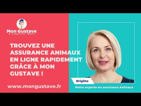 TROUVEZ UNE ASSURANCE ANIMAUX EN LIGNE RAPIDEMENT GRÂCE À MON GUSTAVE !