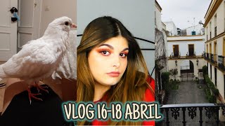 VLOG: FINDE DE RELAX, Cine y un Pollo! | Cristina Black & White