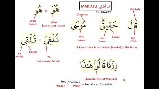 Tajweed Lesson: Mad Asli