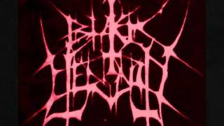 Black Eternity - Chaos Flies