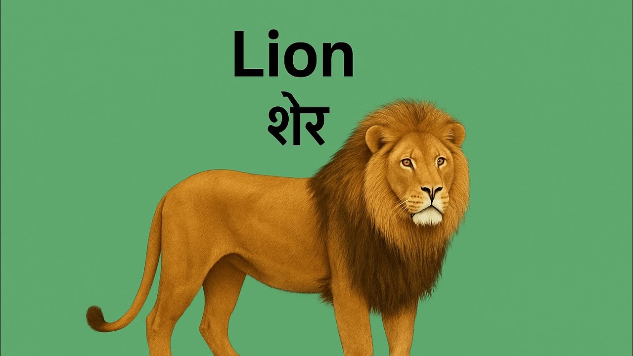 ๐ฆ๐นAnimals name in English with meaning๐ฐ๐ฐ for kids ๐๐#video #miss Ritika ...