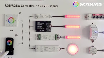 SKYDANCE  RGB/RGBW Series Lighting Control Express