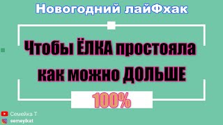 Чтобы ЖИВАЯ ЁЛКА ПРОСТОЯЛА ДОЛЬШЕ! Новогодняя ёлка стоит дома три недели и НЕ ОСЫПАЕТСЯ