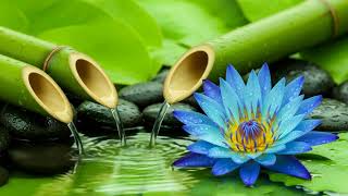 Bamboo Water Fountain and Soft Piano – Serenity Music for Meditation and Restful Healing Sleep
