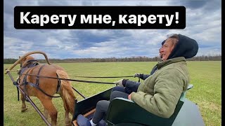 Проверяем в грязи и в поле советского тяжеловоза. Двухколесная конная повозка.