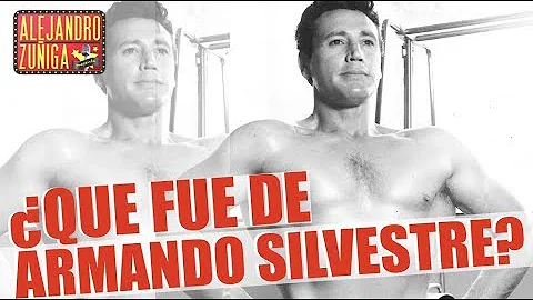 QUE FUE DE ARMANDO SILVESTRE?