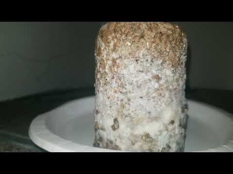 How to spot contamination in your mycelium