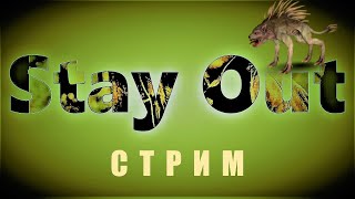 видео: ⭐Stay Oyt⭐Сталкер-Онлайн👍 Может быть и в  Черный лес . картинка: ⭐Stay Oyt⭐Сталкер-Онлайн👍 Может быть и в  Черный лес .