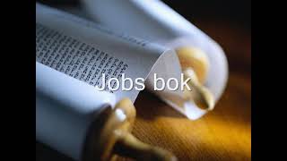 18. (Swedish) Ljudbibel. Gamla testamentet. Jobs bok screenshot 1