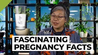 Lifehacker Asks the Pregnancy Expert