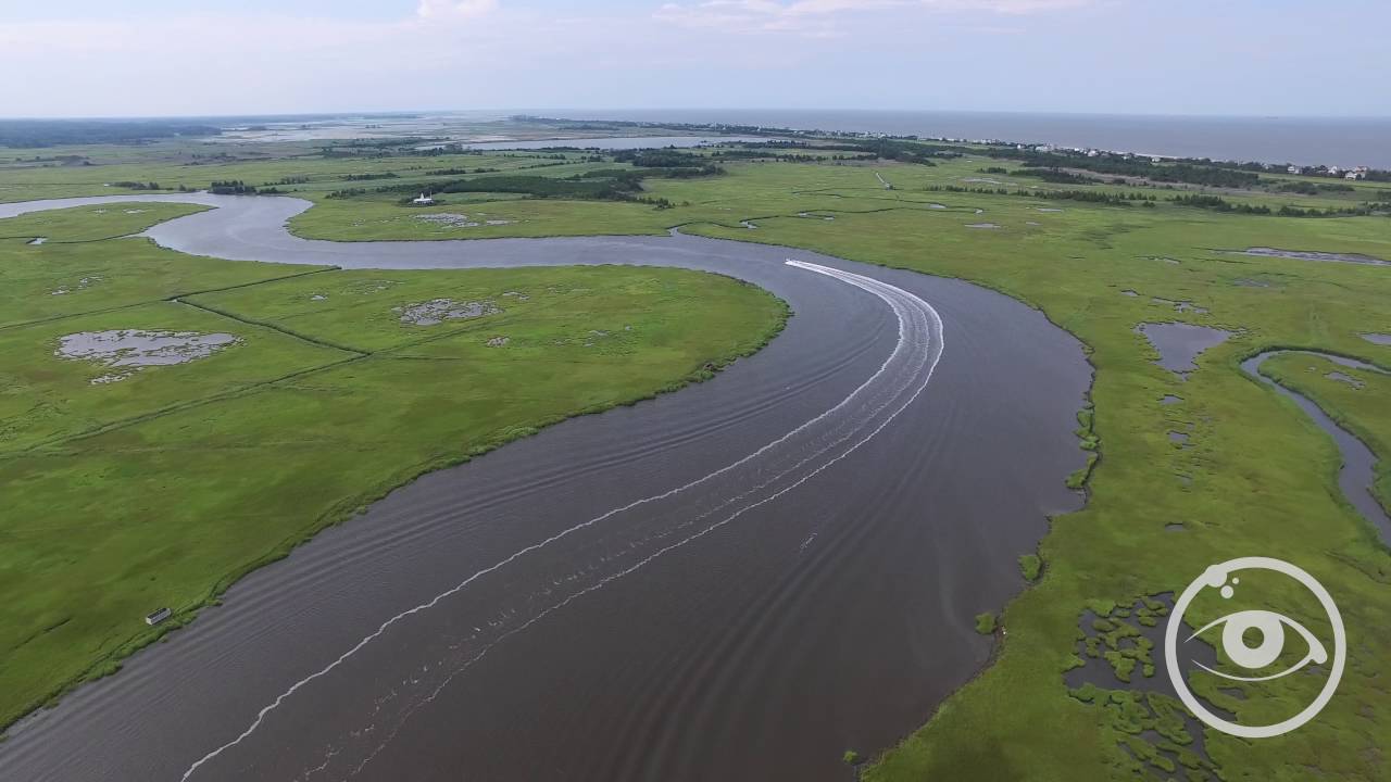 Oyster Rocks YouTube