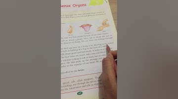 Class-4 EVS ch-4 Our Sense Organ (1st part)