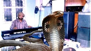 Man Dole Mera Tan Dole (Instrumental Snake-Charmer Music) - Oasis Thacker [Ghanshyam Thakkar] chords