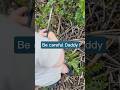 Cuts invasive plants. Still not potty trained…