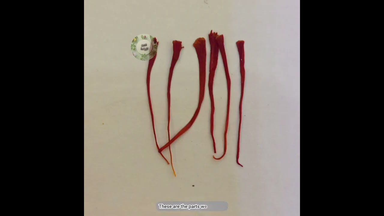 ابدأ مشروعك: الزعفران كنز المستقبل 😍💵