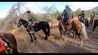 LACEANDO EN EL CERRO 212 .. HOMBRE DE CAMPO CHILENO