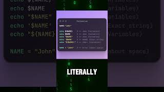 Variables in Bash Scripting