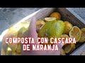 Como hacer una composta con cascara de naranja (AGRICULTURA ORGÁNICA)