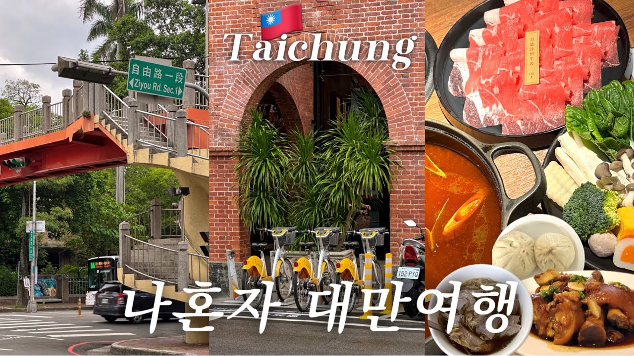 🇹🇼나혼자 대만여행 #1 1년에 3번간 대친자의 타이중여행 | 나혼산 맛집, 대만 최대 야시장, 춘수당본점, 고미습지투어, 숙소추천, 심계신촌, 훠궈맛집
