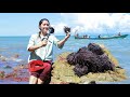 Found Sea Food And Sea Urchins For Cooking