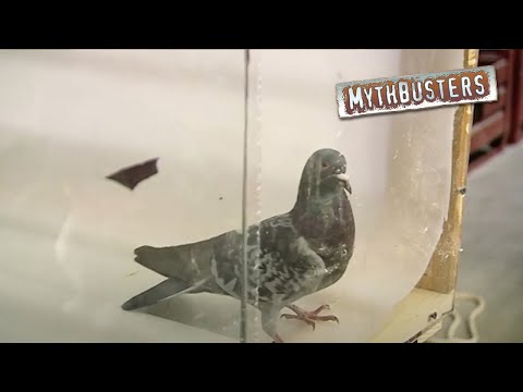 6 Craziest Fan-Requested Myths Ever Tested | MythBusters