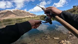eastern sierras virginia lakes big valley lake trout fishing with mice tails