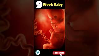 Baby ❤️🥰 | 9 Weeks baby in mother
