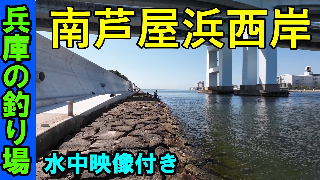 南芦屋浜西護岸の釣り場を紹介：兵庫の釣りポイントを水中映像で攻略！