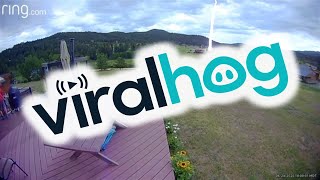 Lightning Crashes Backyard Barbecue || ViralHog