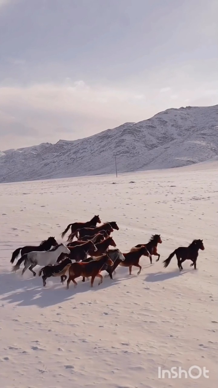 👍😊  TrendingNew - ShareChat