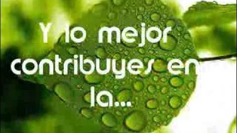 greenzoner invitaciones alternativa a lockerz