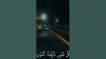 تلاوة خاشعة #تلاوة_خاشعة #اكسبلور #المصحف #راحة_نفسية