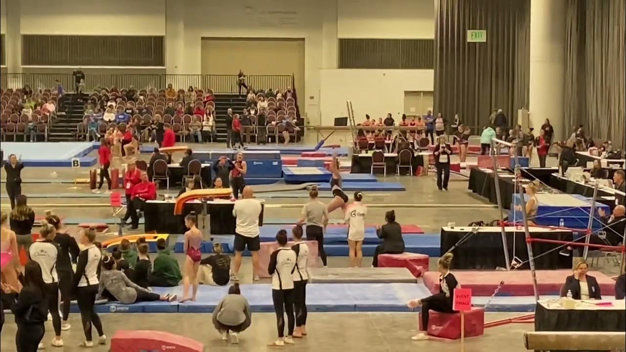 Hailee Bowen 2023 Northern Lights Gymnastics Meet Level 10 Vault