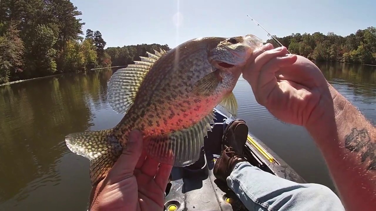 Kayak Fishing Maple Creek Lake YouTube